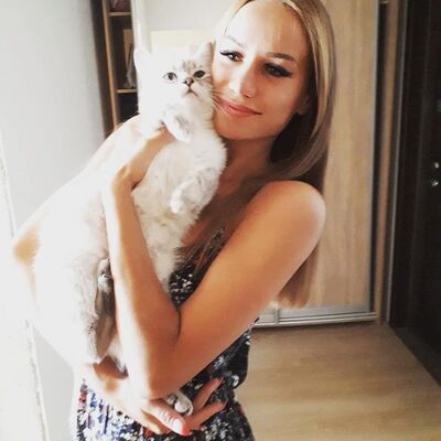  --,   , 29 ,   ,   , c 