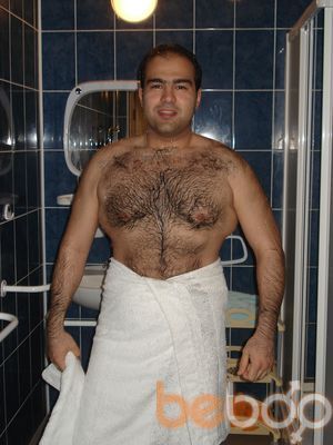  ,   Shaggy, 45 ,   ,   , c 