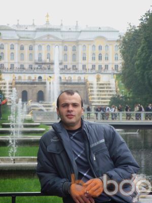  3655478  , 37 ,    -