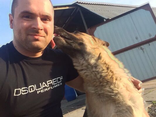  ,   Alexander, 37 ,   ,   