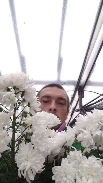  ,   , 33 ,   c 