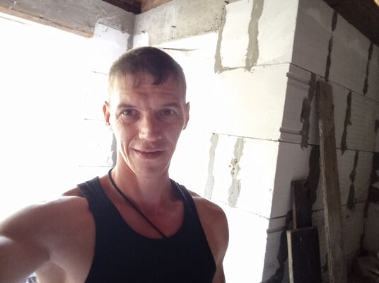  ,   Doberman, 37 ,   