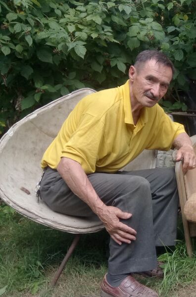  ,   , 75 ,     , 