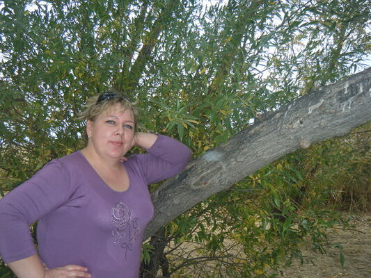  ,   LEDI, 50 ,     , c 