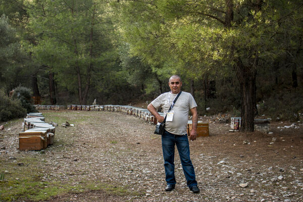  ,   Sofron, 60 ,   ,   , c 