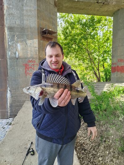 ,   , 29 ,     , c 
