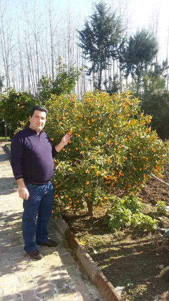  ,   Arash, 47 ,   ,   