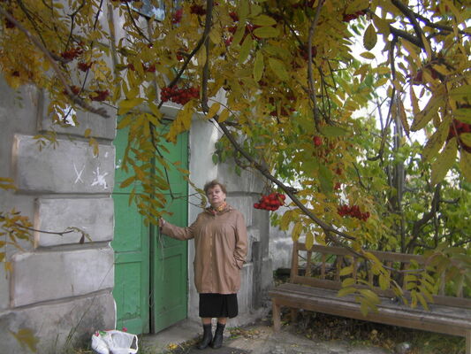  -,   , 70 ,   ,   , c 