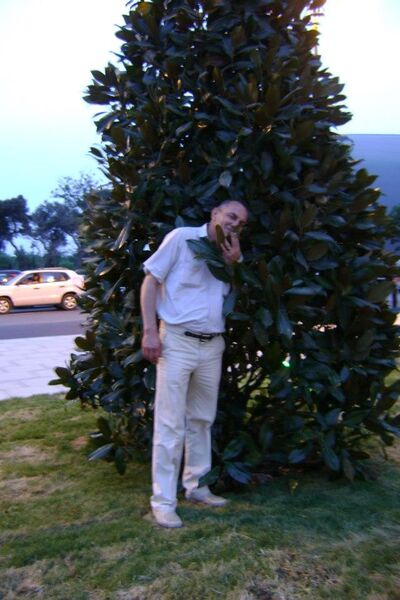  ,   , 58 ,   