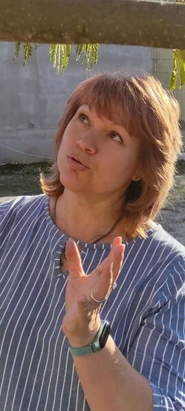  ,   , 60 ,   c 