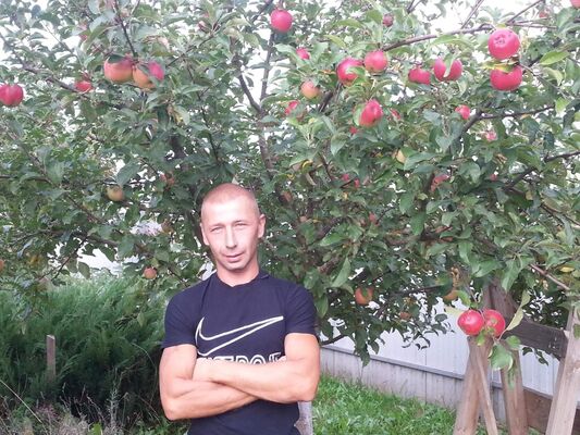  ,   Alexander, 43 ,   