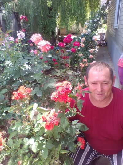  ,   , 56 ,   