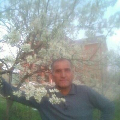  -,   Yusuf, 49 ,   ,   , c 