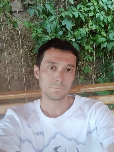  ,   , 41 ,   