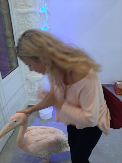  Porto Cervo,   Kira, 36 ,     , c 