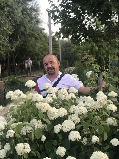  ,   Jafar Ali, 50 ,   ,   , c 