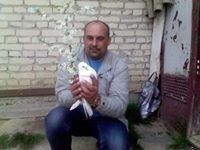  ,   , 52 ,   