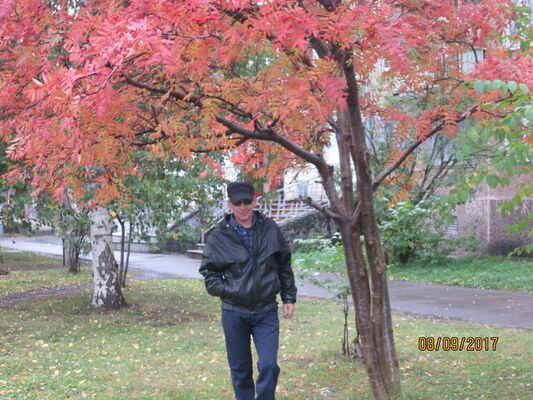  ,   , 51 ,  