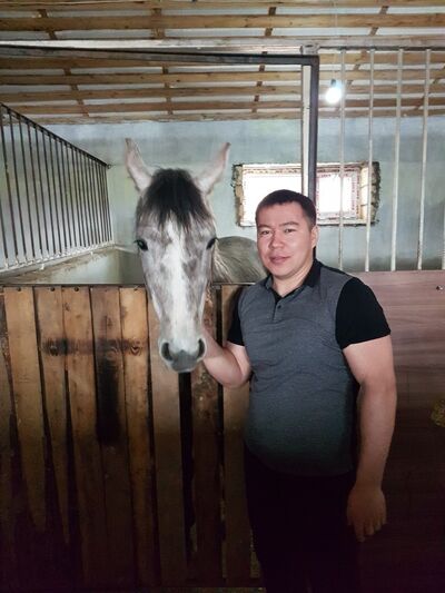  ,   Tore, 40 ,   ,   , c 