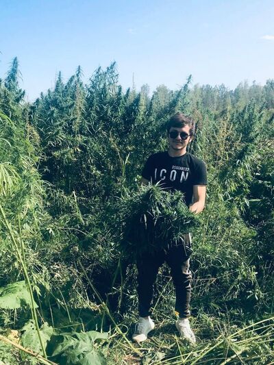  ,   Kayfarik, 25 ,   ,   