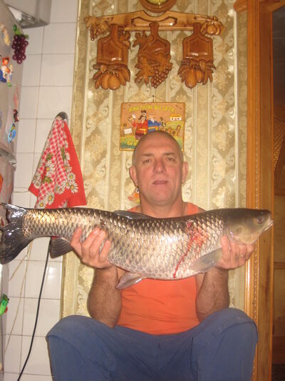  ,   , 63 ,     , c 