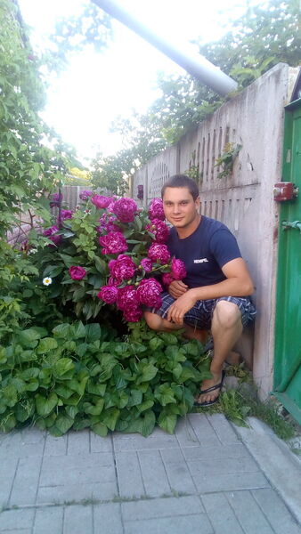  ,   , 29 ,     , c 