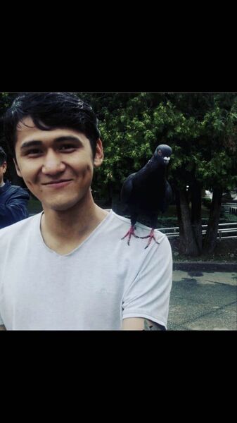  ,   Ongar, 28 ,   ,   , c 