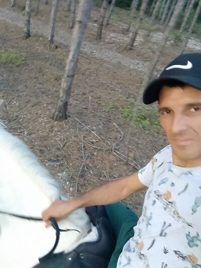  ,   Ribvan, 36 ,   ,   , c , 