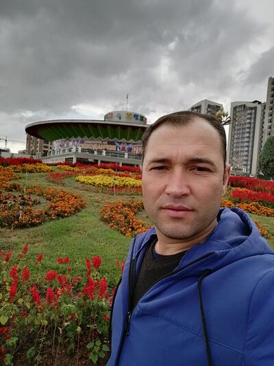  ,   , 38 ,   ,   