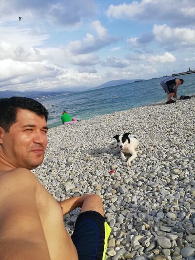  ,   Murad, 38 ,     , c 
