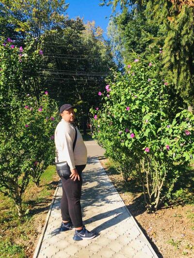  ,   Nazar, 34 ,   ,   , c 