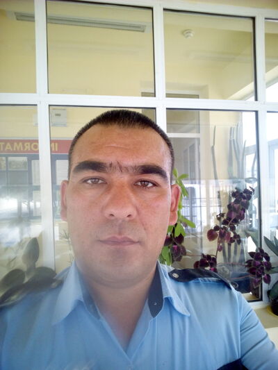  ,   Avaz, 42 ,   