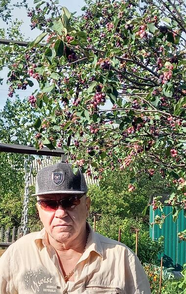  -,   , 67 ,   ,   , c 