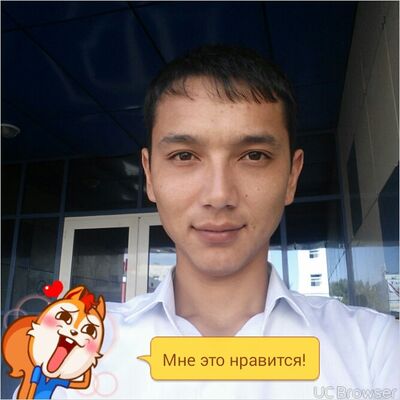  ,   87085402517, 32 ,     , c 