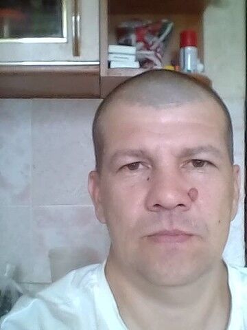  ,   , 46 ,   