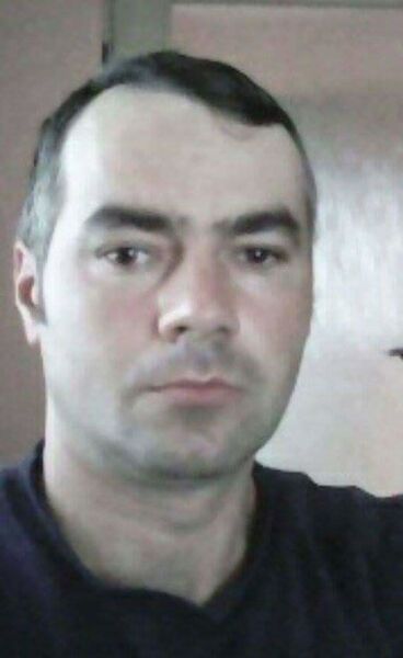  -,   Alin, 42 ,   ,   , c 