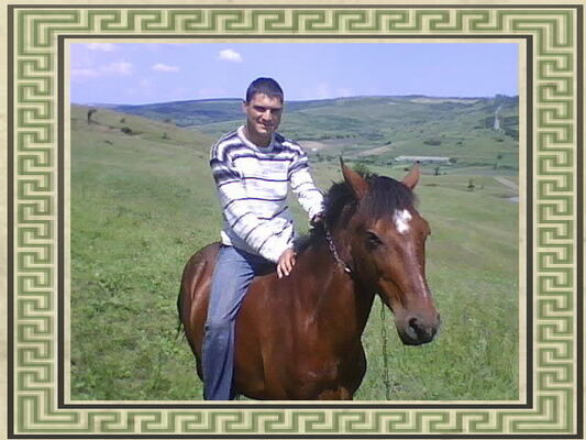  ,   , 43 ,   