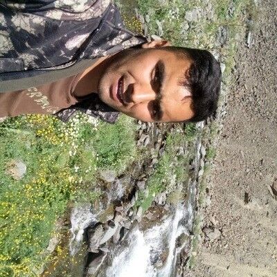  ,   Dol, 37 ,   ,   , c , 