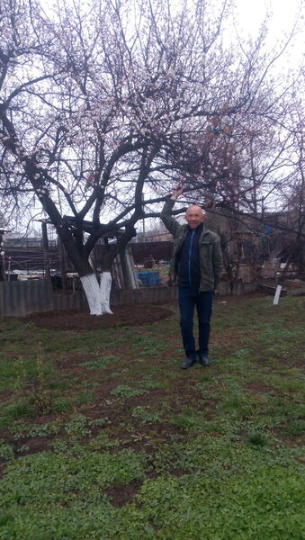 ,   Vitali, 64 ,     , c 