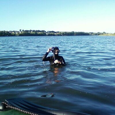  ,   Xylegan, 43 ,   ,   , c 