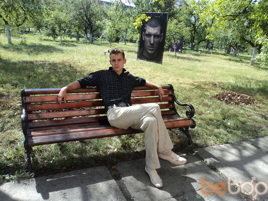  ,   Lionheart, 36 ,   