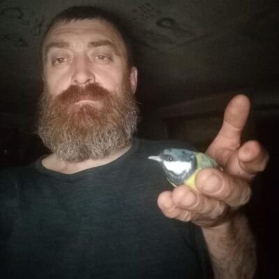  ,   , 51 ,   ,   