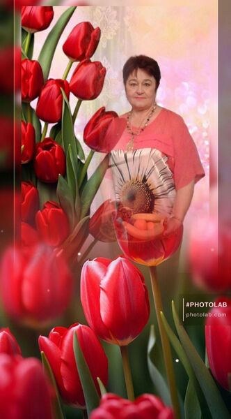  ,   , 62 ,  