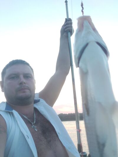  ,   Febor, 38 ,   ,   , c 