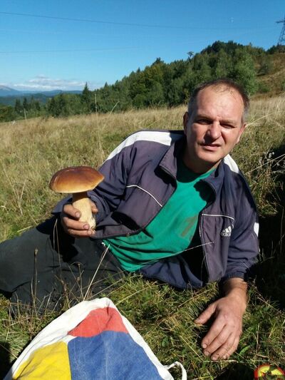  ,   Ed, 55 ,   ,   , c 
