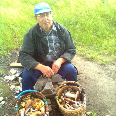   ,   , 77 ,   