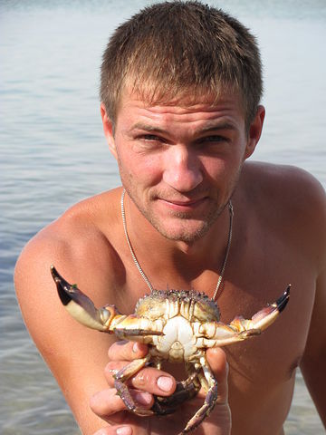 ���������� �����������, ���� ������� ���, 41 ���, ������������ ��� ������, ����� � ���������, c�������� ���������