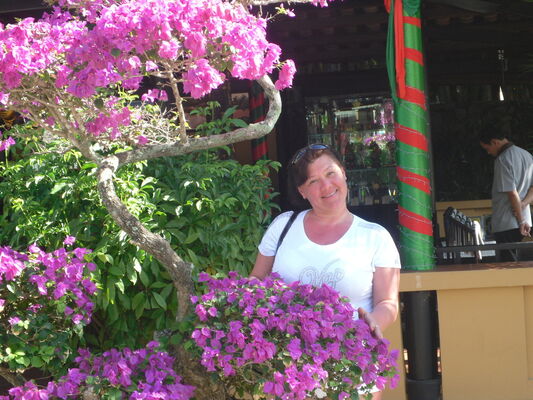  ,   , 55 ,     , c 