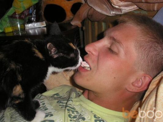  ,   REAKTIVE, 41 ,   ,   , c 