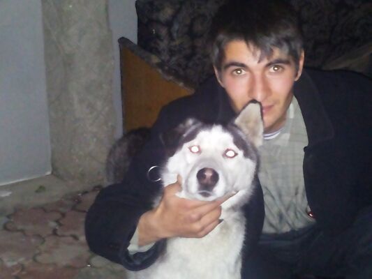  -,   Mircea, 37 ,     , c 
